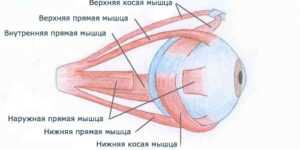 Фото Перфорационные очки