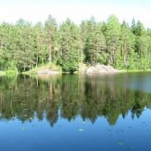 Фото Живая вода: Приготовление в домашних условиях
