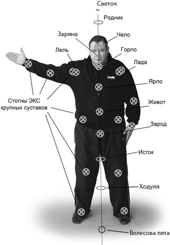 Фото специи