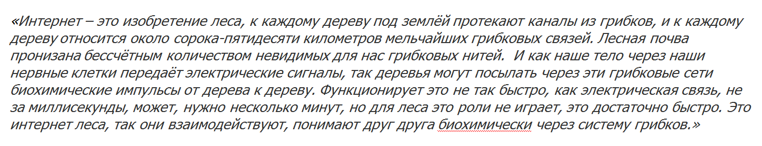 Фото Грибы – Чудо Природы!