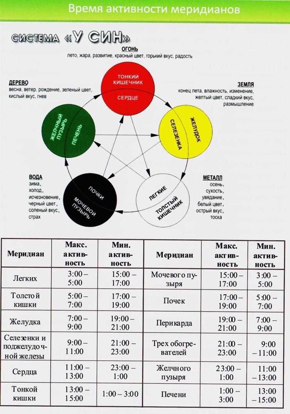 Фото Живые Каши и биоритмы организма