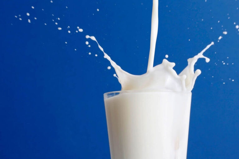 Хитозан: создаем новые  функциональные молочные продукты