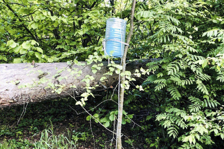 Походный фильтр для воды "Снежинка" – фильтр на трековых мембранах Походный фильтр для воды “Снежинка” – фильтр на трековых мембранах